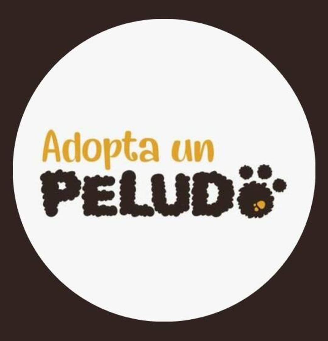 Moda adoptaunpeludo