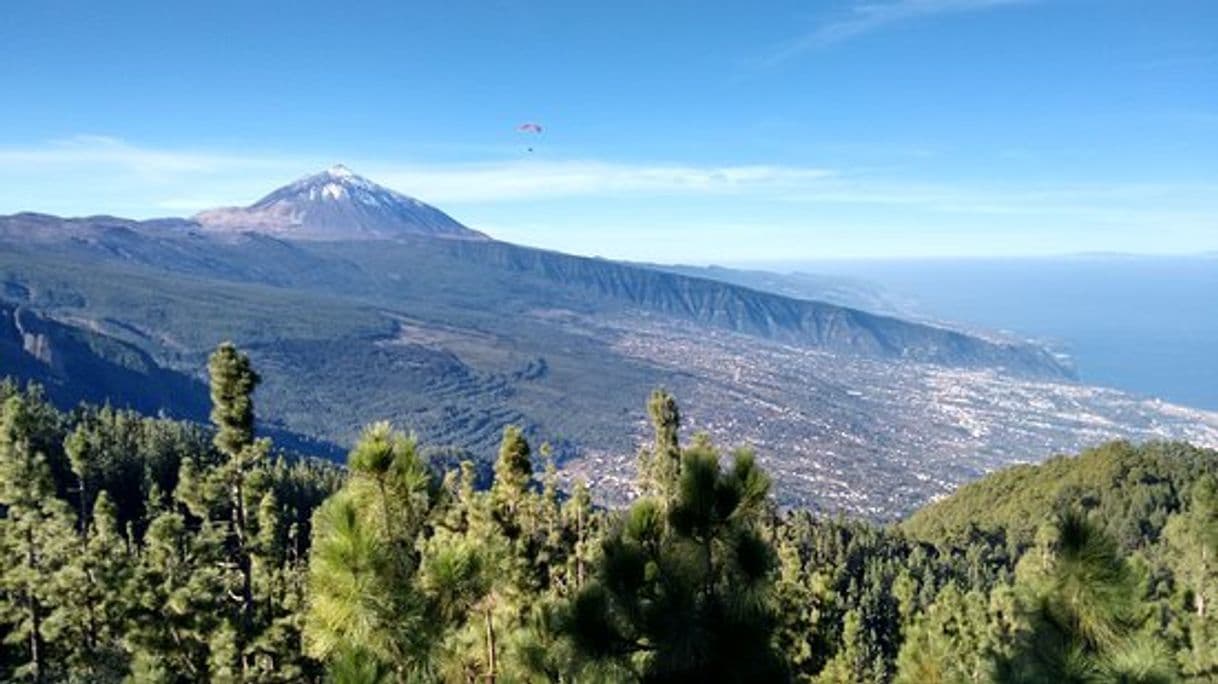 Place Valle de la Orotava