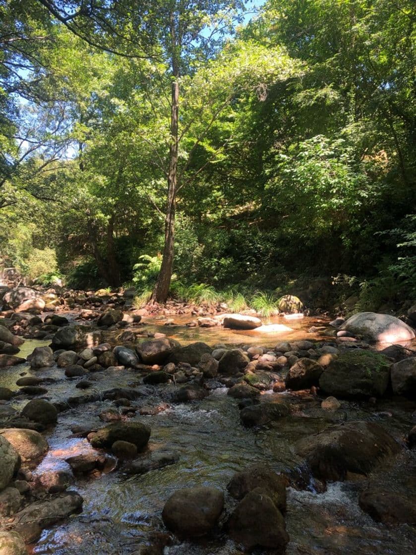 Lugar Garganta la Olla