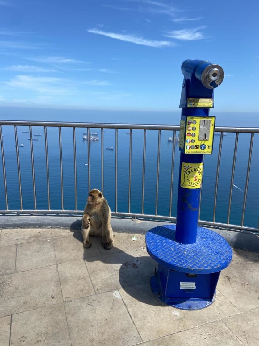 Lugar Gibraltar Cable Car