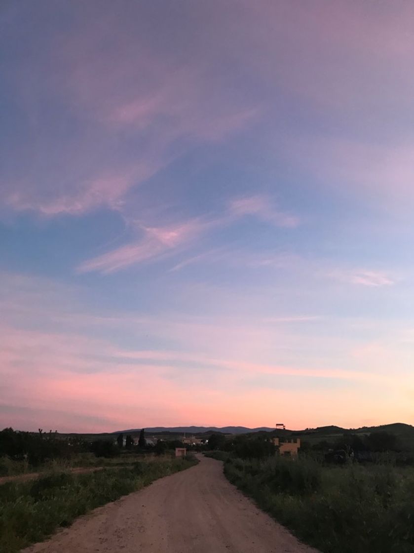 Lugar Camino de la Ermita