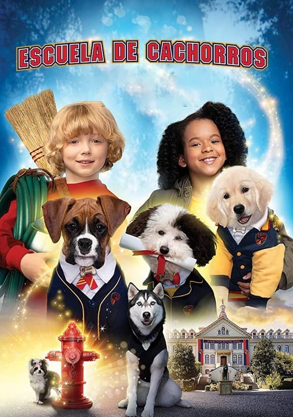 Serie Escuela de cachorros