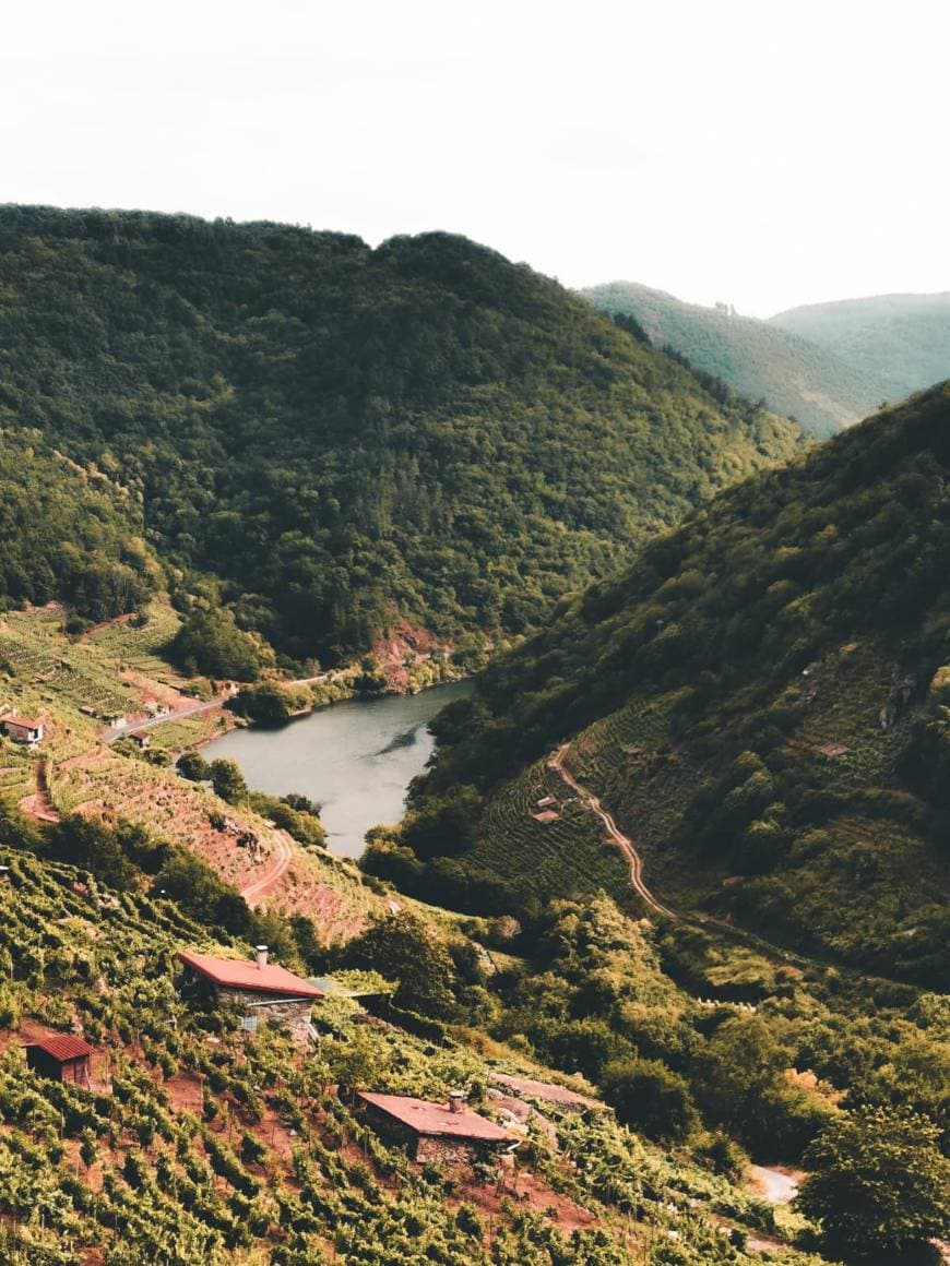 Place Ribeira Sacra