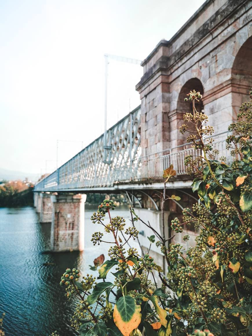 Lugar Ponte Internacional Tui-Valença