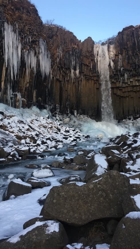 Place Svartifoss waterfall