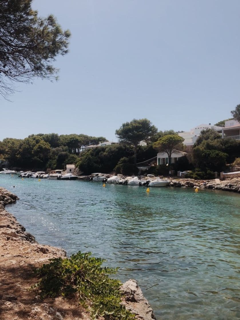 Lugar Cala en Blanes