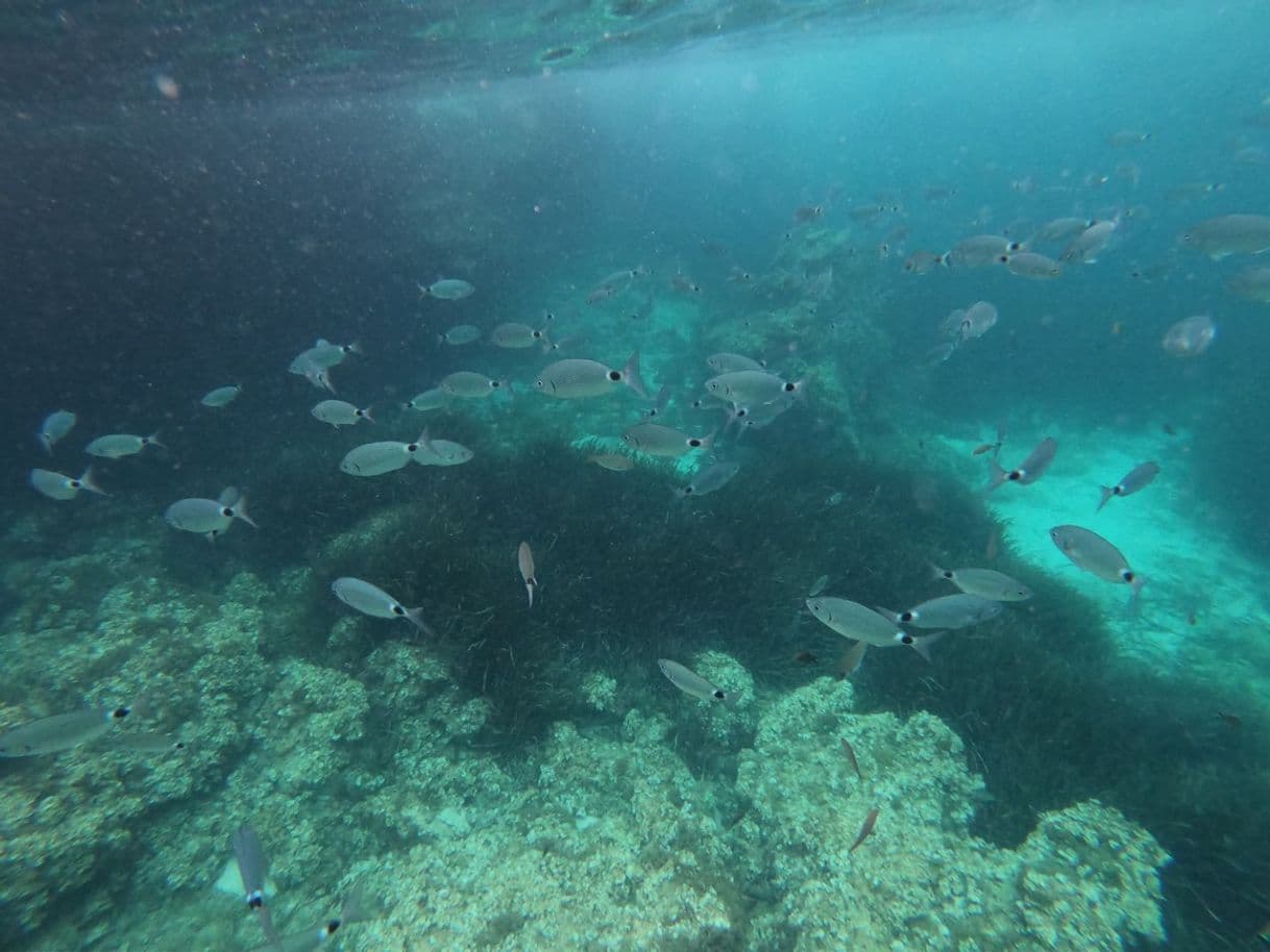 Lugar Cala Sa Olla