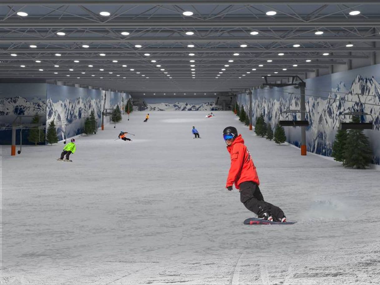 Lugar Snowzone Madrid