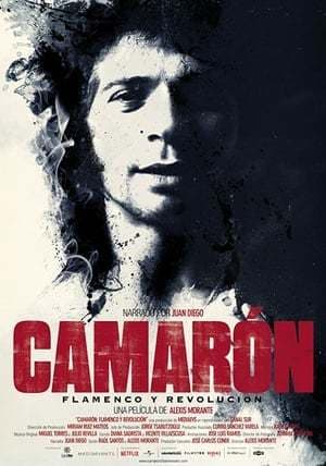 Movie Camarón: When Flamenco Became Legend