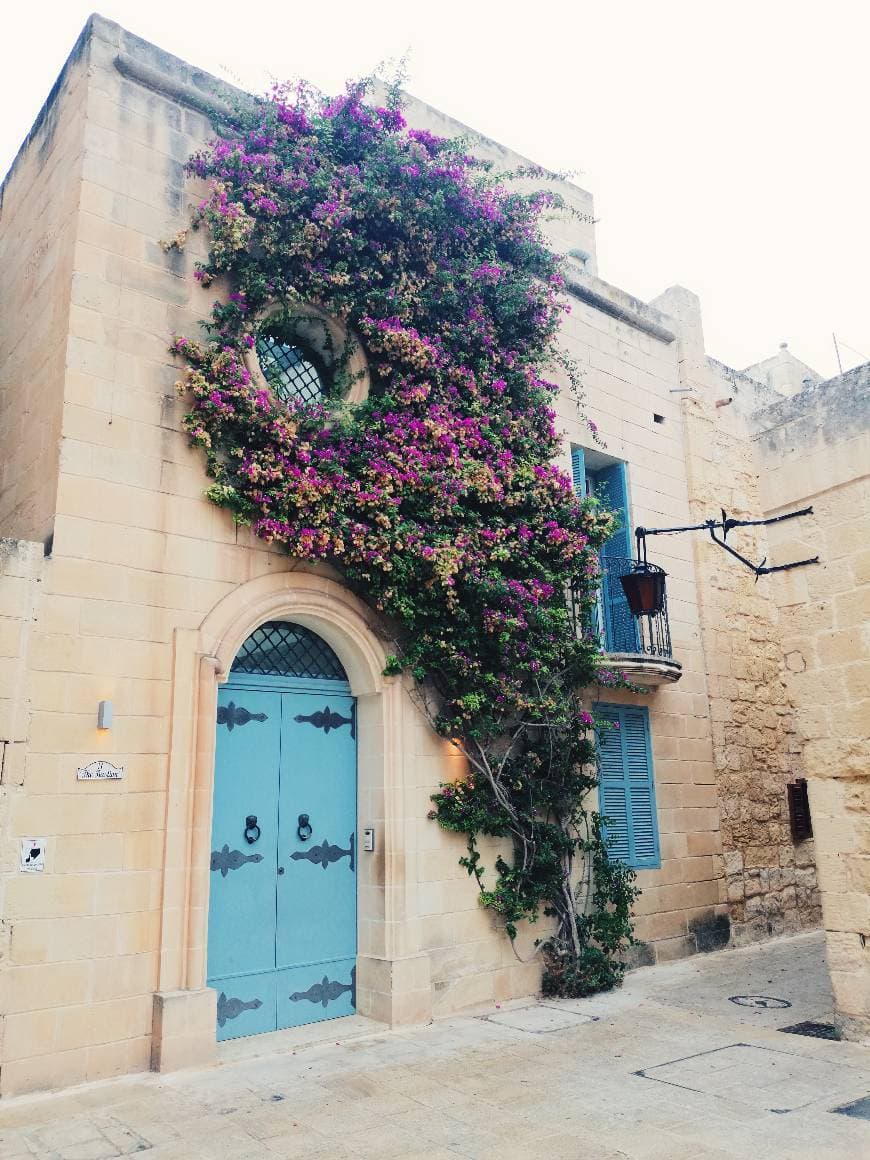 Place Mdina