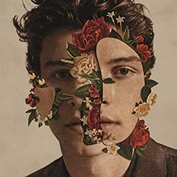 Moda Shawn Mendes on Spotify