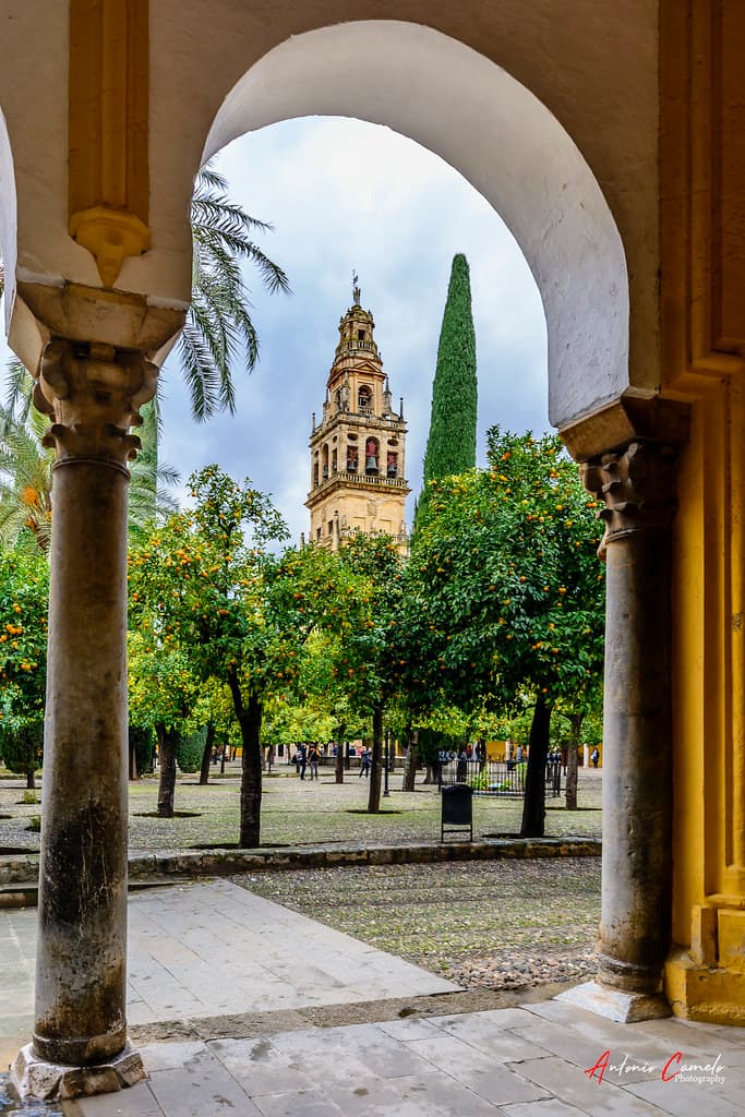 Lugar Patio de los Naranjos