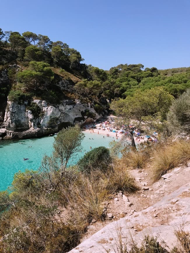 Lugar Cala Macarelleta