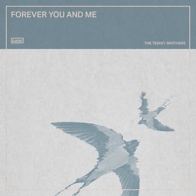 Canción Forever You and Me