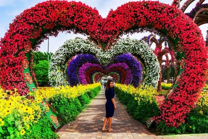 Place Miracle Garden