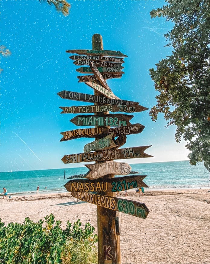 Lugar Fort Zachary Taylor State Park Beach