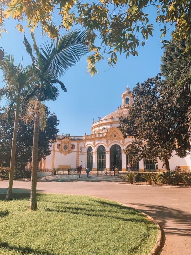 Place Terraza Casino