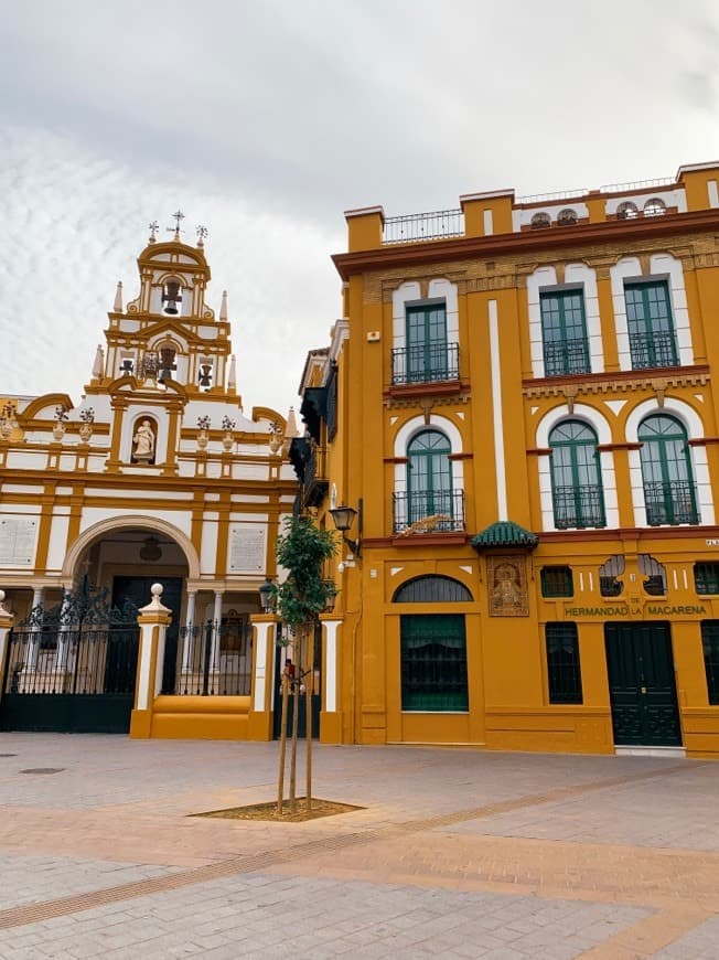 Lugar Basílica de la Macarena