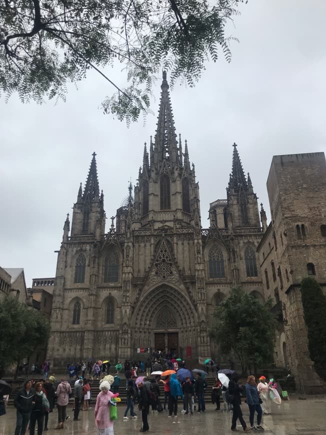 Place Catedral de Barcelona