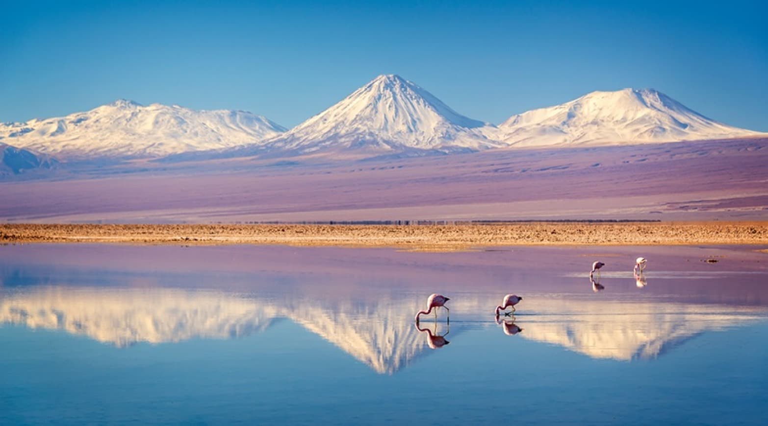 Lugar Atacama 