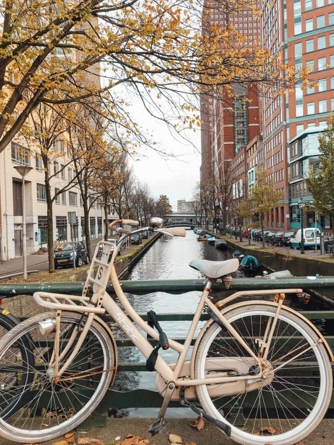 Place Canales de Ámsterdam