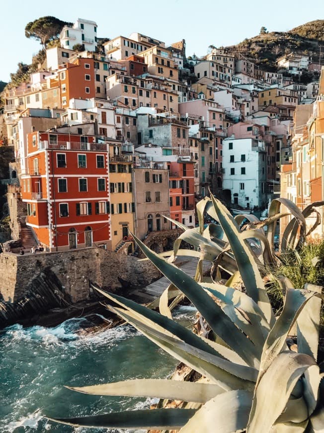 Fashion Cinque Terre 