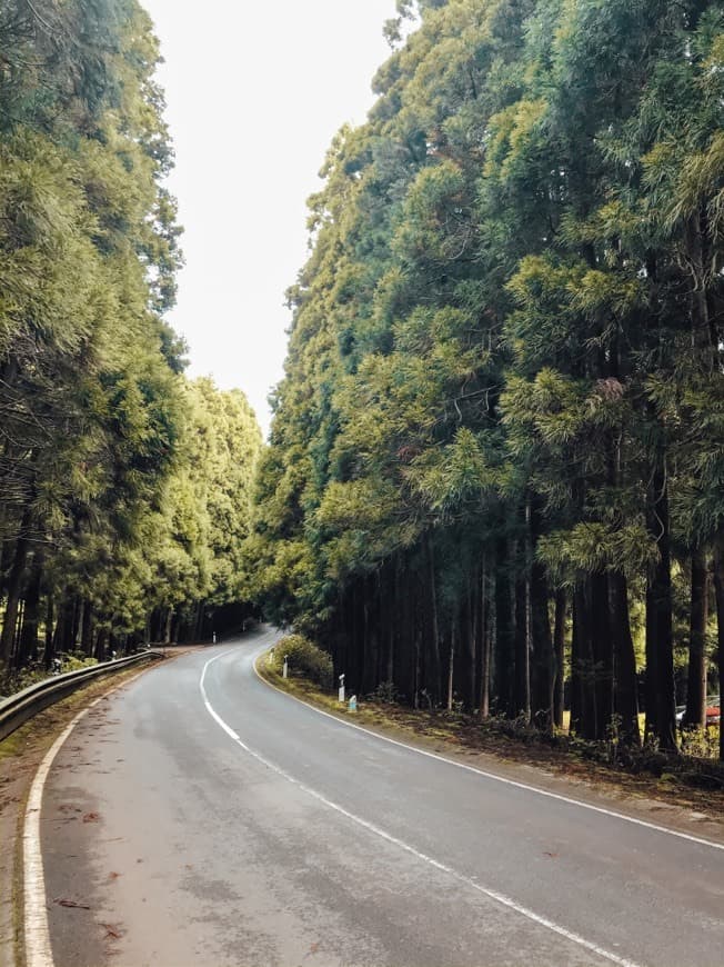 Place Ilha Terceira 🌴