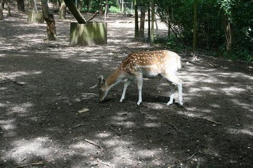 Lugar Parque Biológico de Gaia