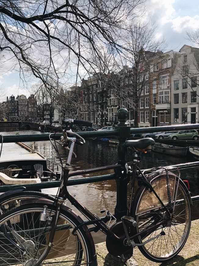 Lugar Canales de Ámsterdam