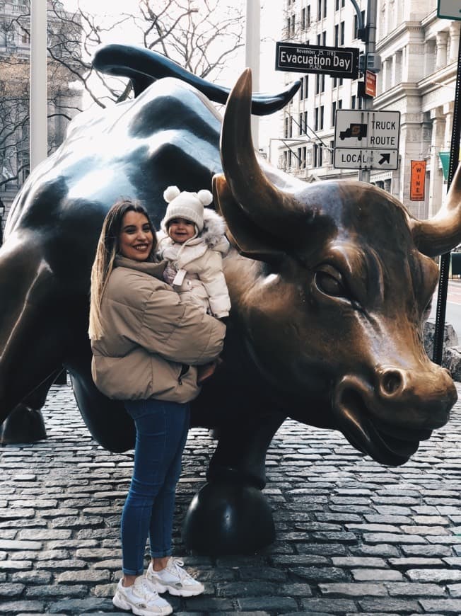 Lugar Toro de Wall Street