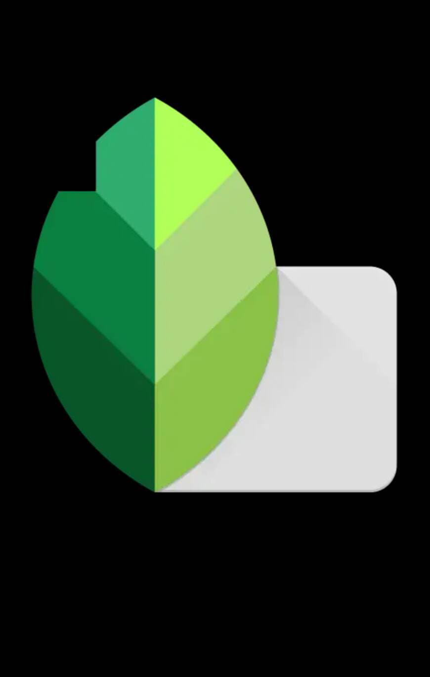 App Snapseed - Apps para editar