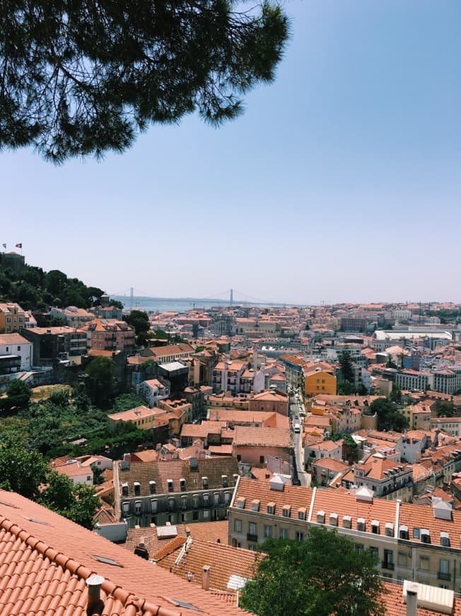 Lugar Miradouro Sophia de Mello Breyner Andresen