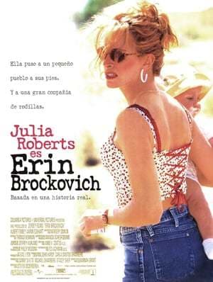 Película Erin Brockovich