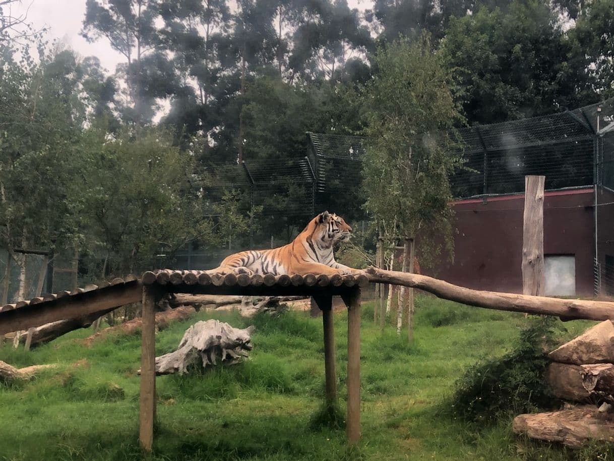 Lugar Zoo Santo Inácio