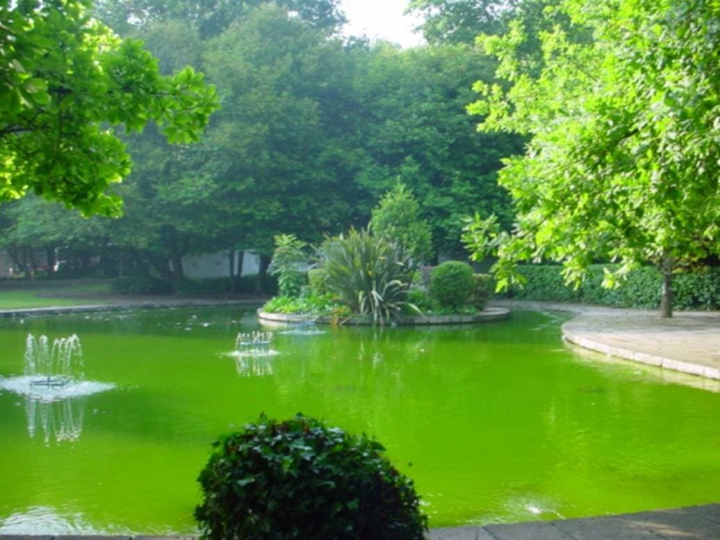 Lugar Parque Aquilino Ribeiro