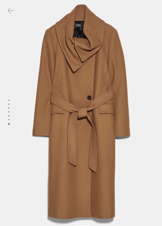 Fashion Zara coat