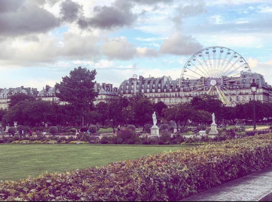 Place Jardin des tuileries