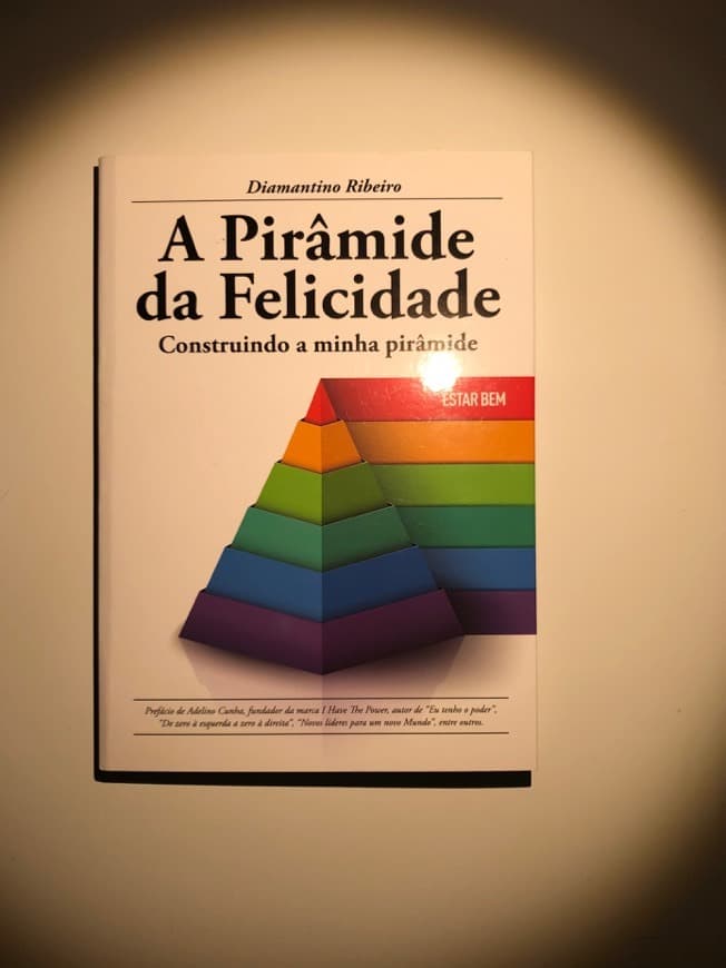 Book A pirâmide da felicidade