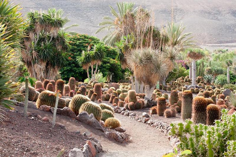 Place Jardín Botánico Fuerteventura