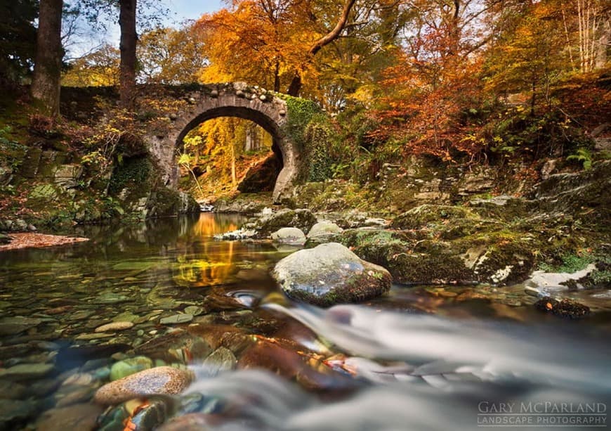 Place Tollymore Forest Park