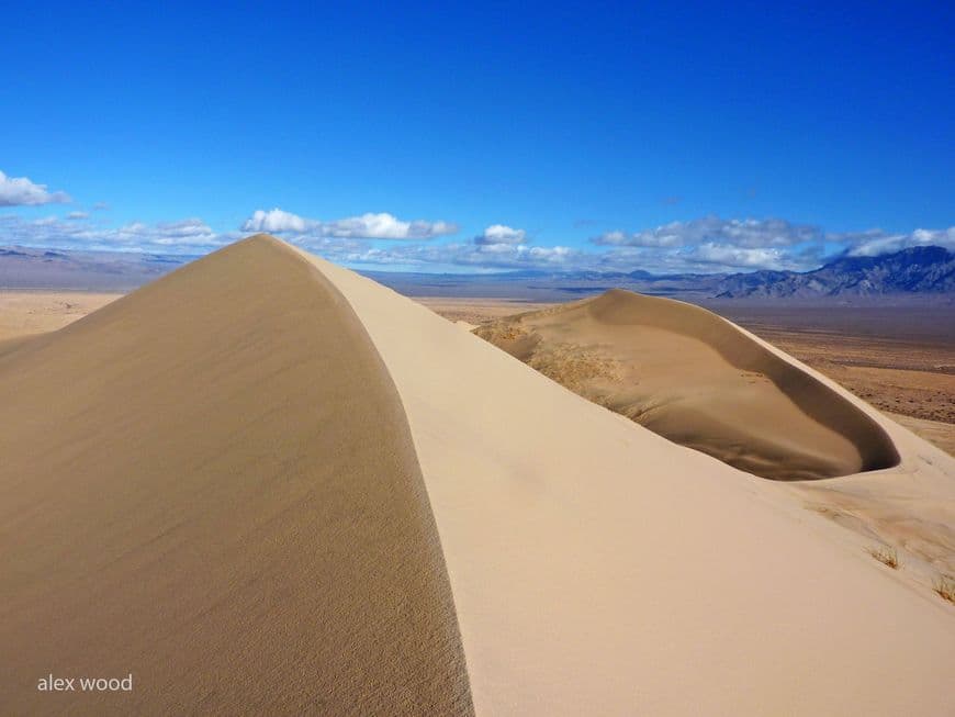 Place Kelso Dunes