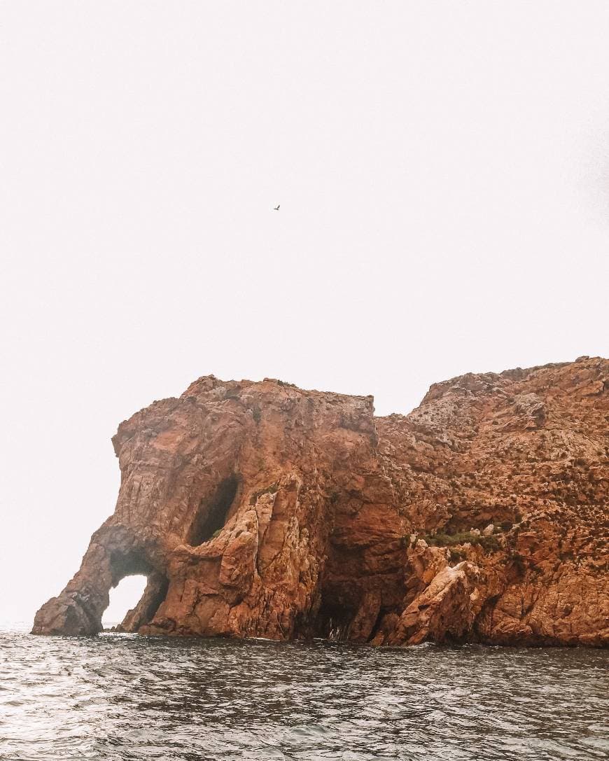 Lugar Berlengas Natural Reserve