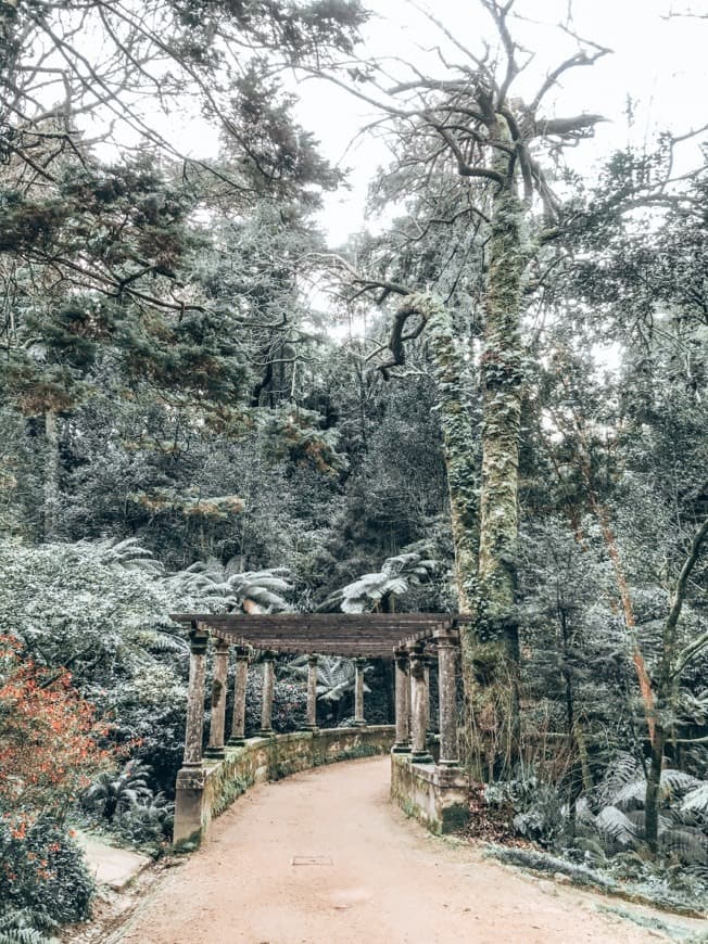 Lugar Sintra-Cascais Natural Park