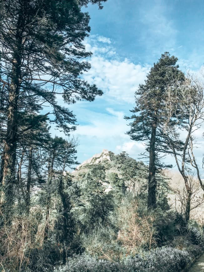 Lugar Castelo dos Mouros