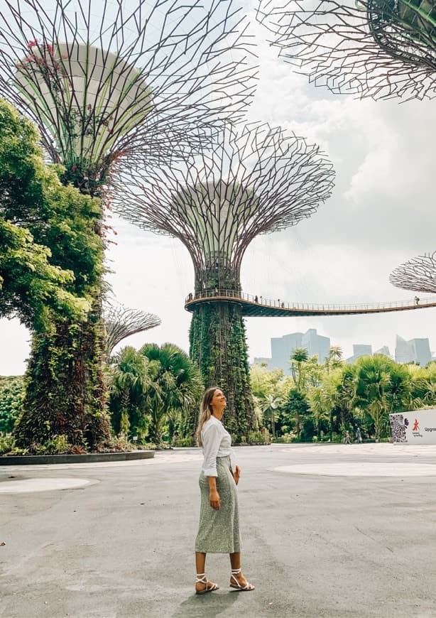 Place Gardens by the Bay