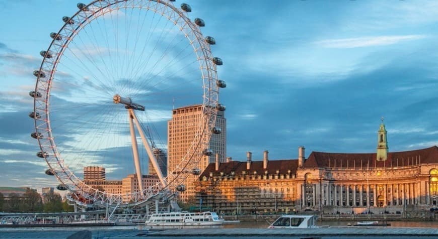 Place London Eye