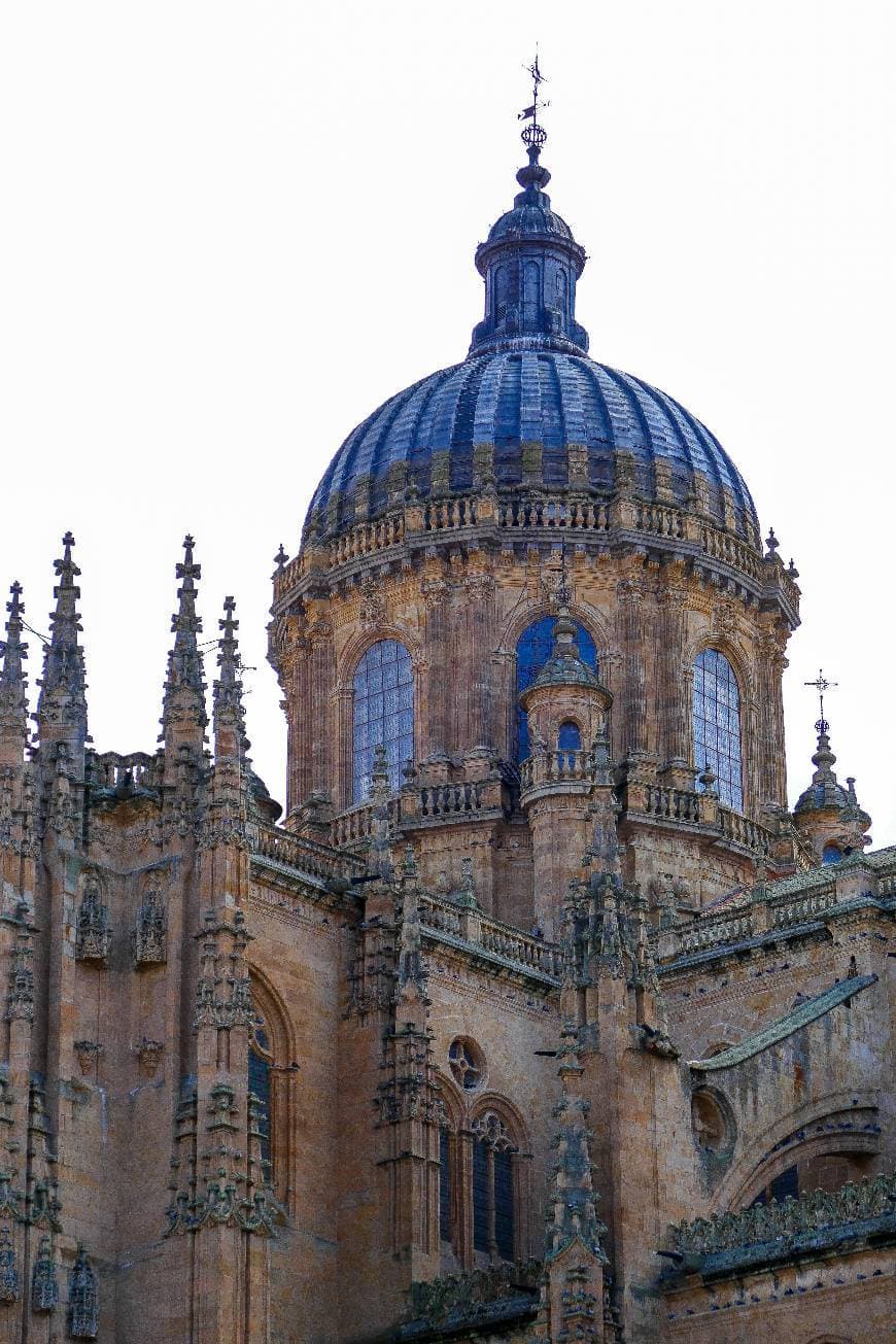 Place Catedral de Salamanca