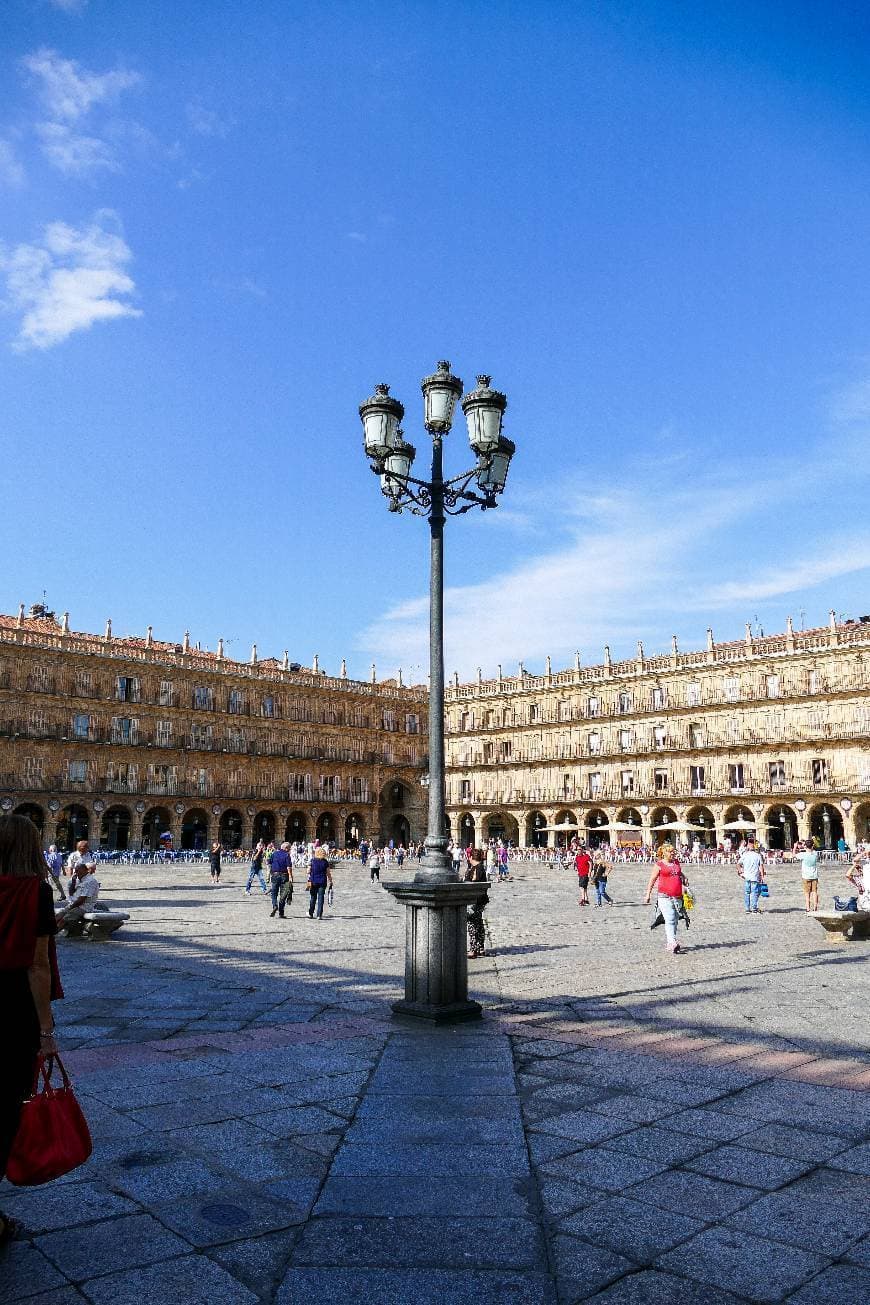 Place Plaza Mayor