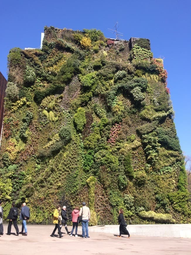 Lugar Jardín Vertical Caixaforum