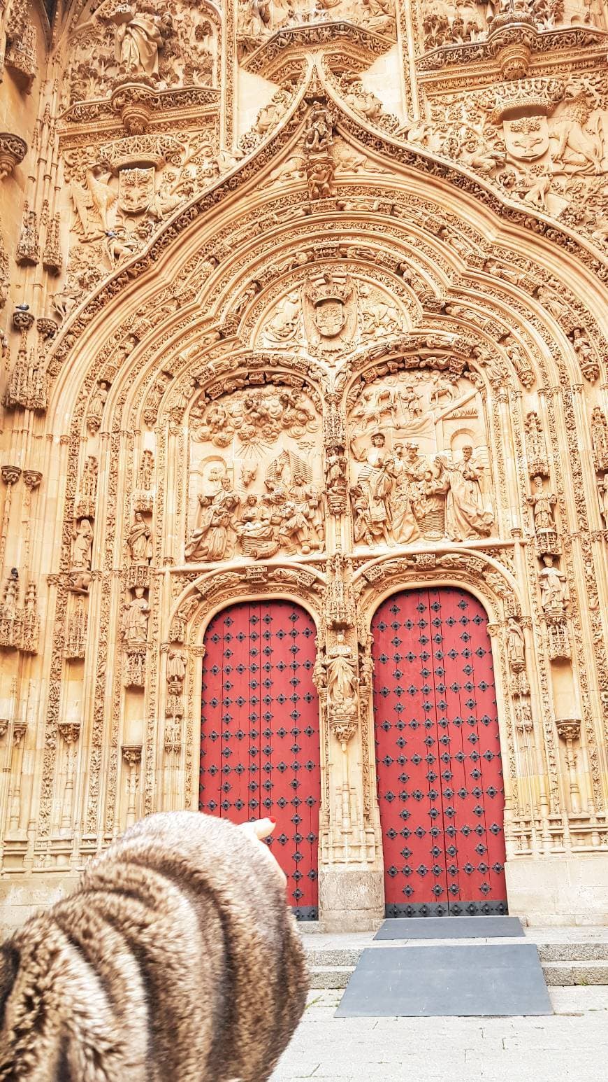 Place Catedral de Salamanca